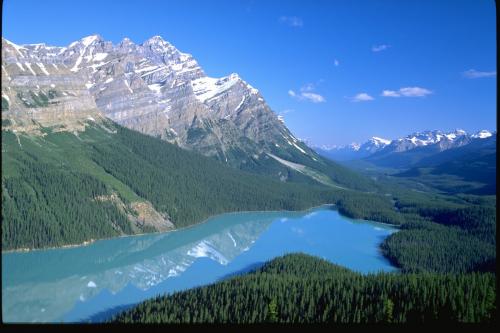 Lac Peyto - Parc National de Banff - Crédit photo Travel Alberta