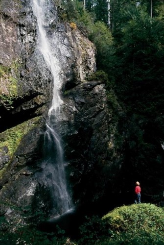 Carmanah Walbran Provincial Park - Credit Photo Tourism British Columbia