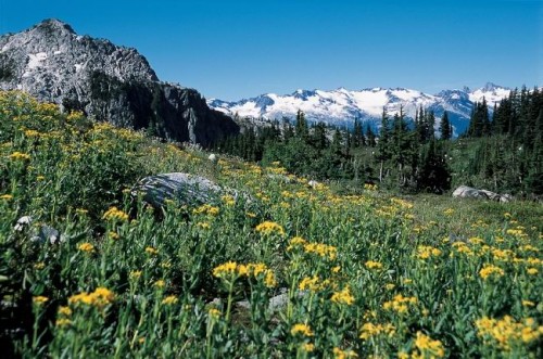 Rocheuse - Credit Photo Tourism BC - Tom Ryan