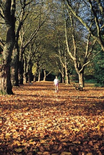 Stanley Park - Credit Photo Tourism British Columbia