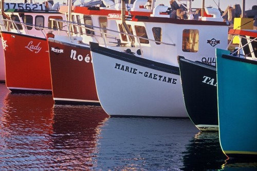 Bateaux de pêche multicolores - Crédit Photo - P.Saharoff