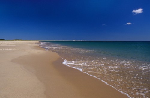 Plage de la Grande-Échourie - Crédit Photo - M.Bonato