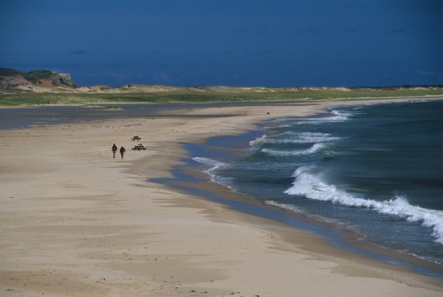Randonnées pédestres sur la plage - Crédit Photo - M.Bonato