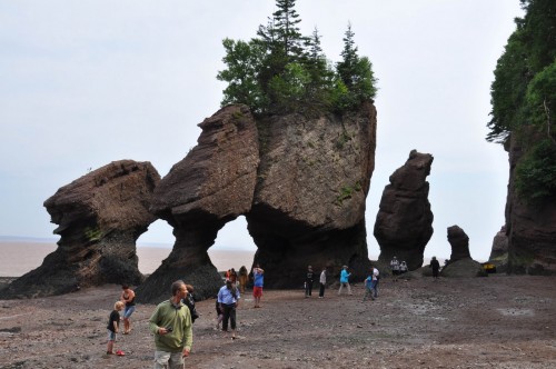 Hopewell Rocks Maree basse - Credit Photo Tourisme Nouveau-Brunswick, Canada