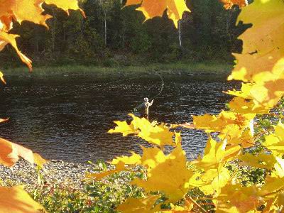 pêche à la mouche - Credit Photo Tourisme Nouveau-Brunswick, Canada