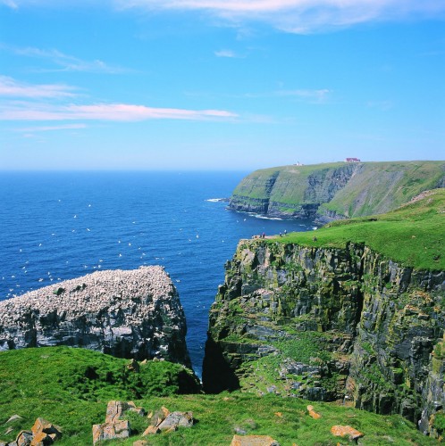 Cape St Mary s - Credit Photo Newfoundland and  Labrador Tourism