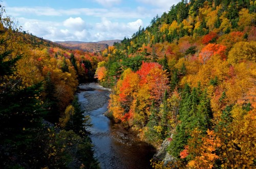 Fall scenery on the east side of the Cabot Trail along the St. Ann's loop - Credit Photo Nova Scotia Tourism