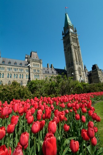 Parlement et Tulipe - Credit Photo Ontario Tourism