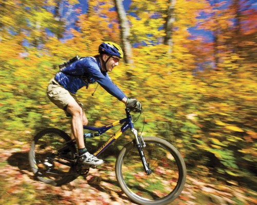 Velo Parc Algonquin - Credit Photo Ontario Tourism