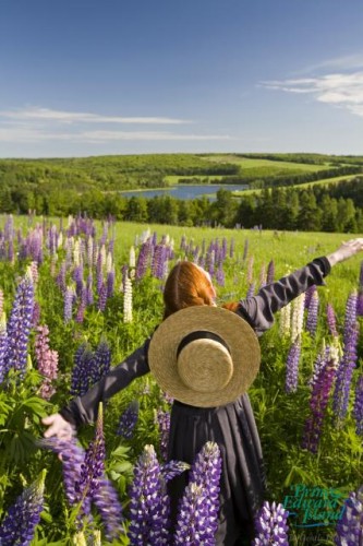 Anne - Credit Photo Tourism PEI - John Sylvester