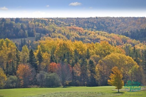 Bonshaw Hills - Credit Photo Tourism PEI - Barrett & MacKay
