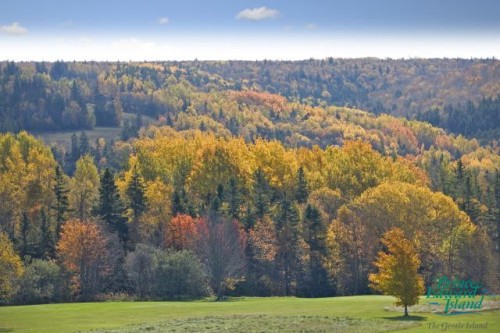 Bonshaw Hills - Credit Photo Tourism PEI - Barrett & MacKay