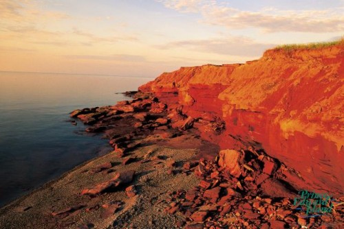 Cavendish - Credit PhotoTourism PEI - Barrett & MacKay