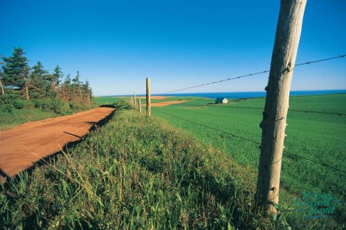 Champs - Credit Photo  photo Tourims PEI - Paul Baglole