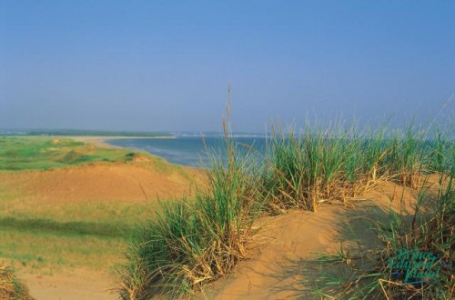 Dune - Credit Photo Tourism PEI Paul Baglole