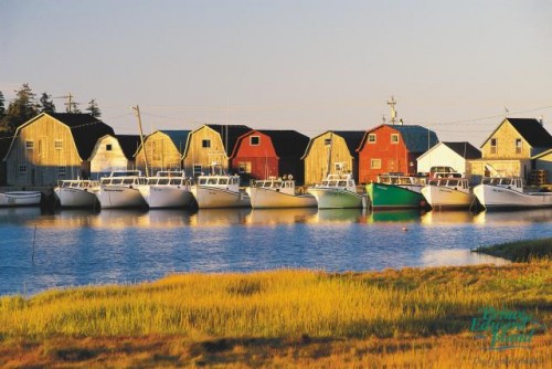 Malpeque - Credit Photo Tourism PEI - John Sylvester