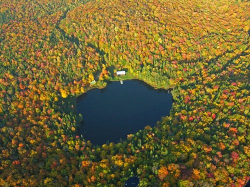 Lac et forêt - Crédit Photo M. Julien Tourisme Mauricie