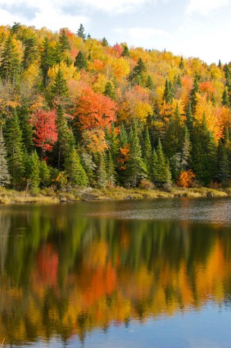 Parc Mauricie - Crédit Photo M. Julien Tourisme Mauricie