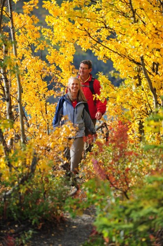 Automne - Credit Photo Government of Yukon - Derek Crowe